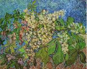 Vincent Van Gogh White Flowers with Blue Background USA oil painting artist